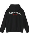 Cardiology Unisex Hoodie